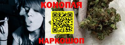 спиды Камышлов