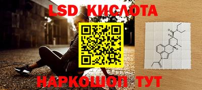 спиды Камышлов