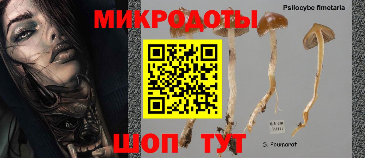 Галлюциногенные грибы GOLDEN TEACHER  Галлюциногенные грибы Magic Shrooms  Чита  Вход с VPN 